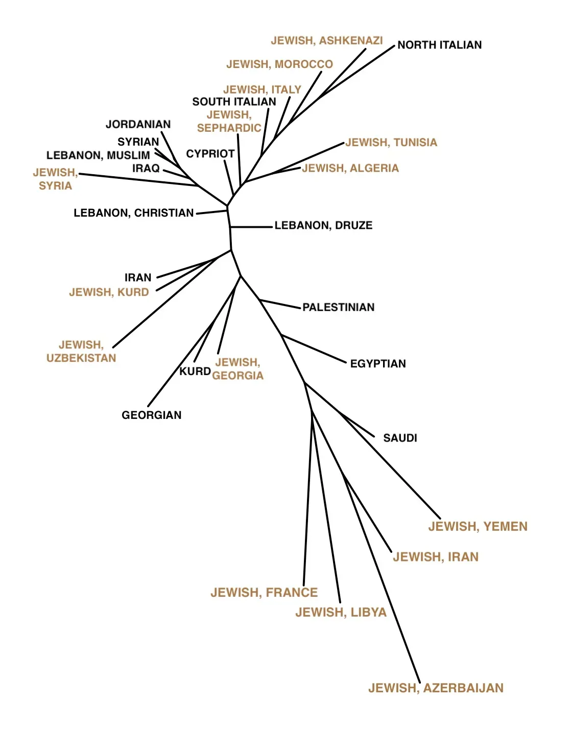 Razib Khan on the Genes of Palestinians and European Jews