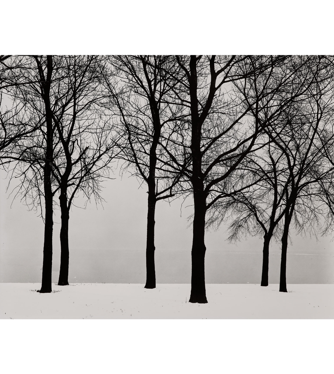 Harry Callaghan, Chicago