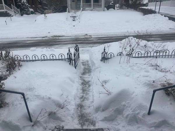 My Front Walk After Snowpocalypse 2026