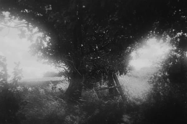 Word of the Day: Yearning